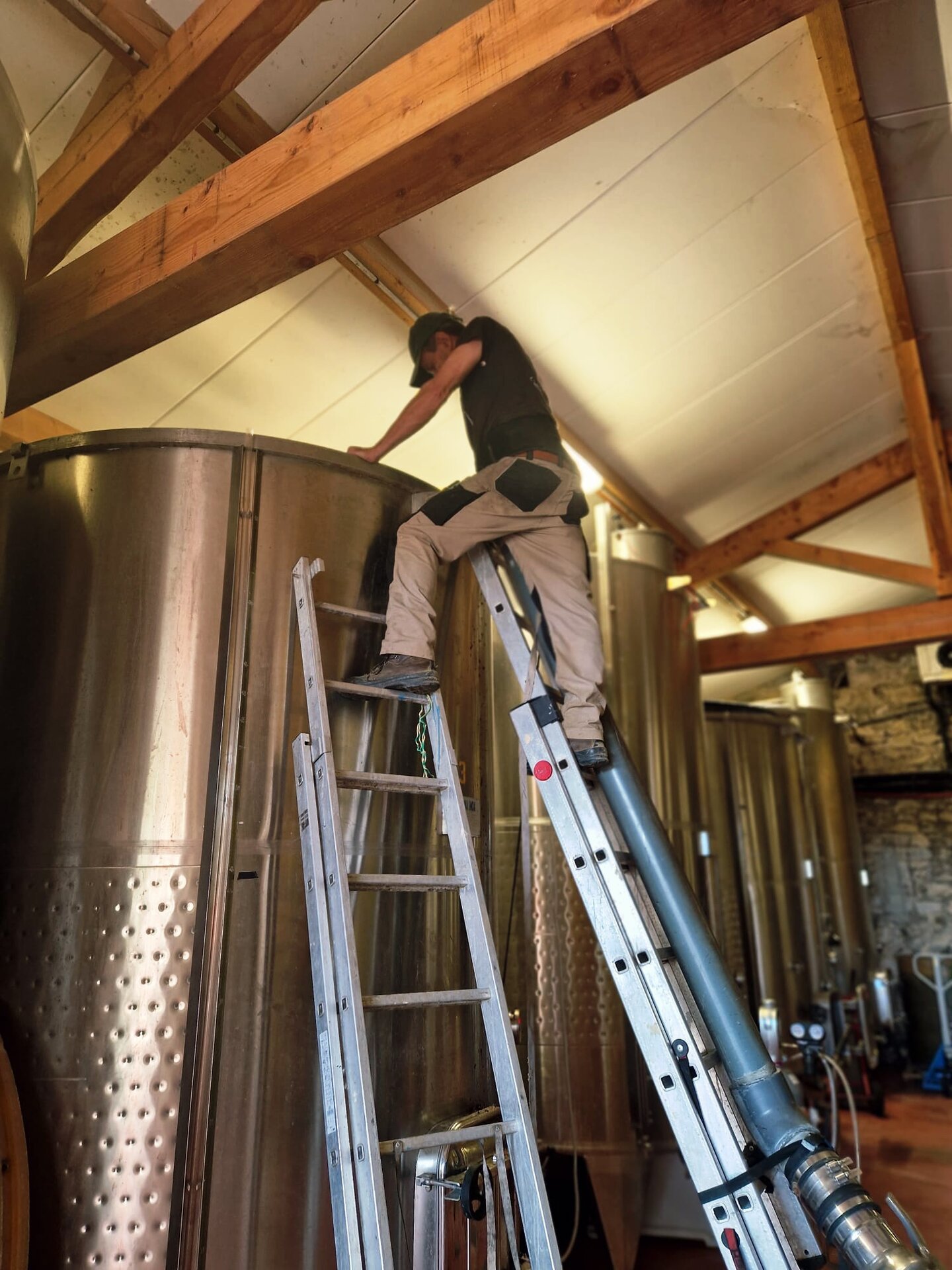 Gilles Pagès travail en cave — cuves inox Pic Saint-Loup